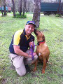 Pet Barrier PT4 Performance Series